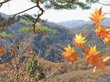 晟峰說易合集滴天髓與五行生克民間技法實務集成視頻課程百度網(wǎng)盤下載學習
